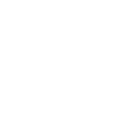 Custom Loader